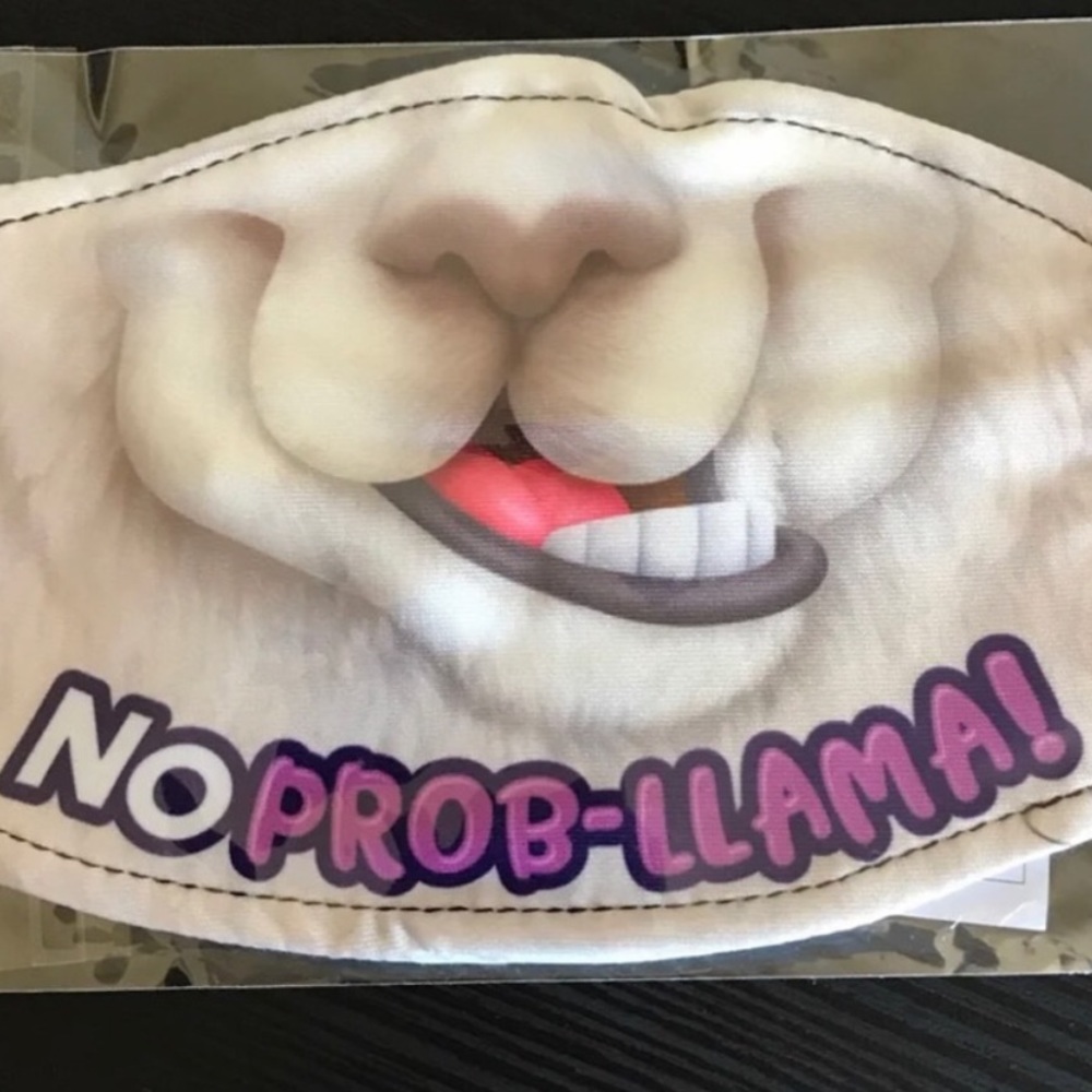 NWT “No Pro-Llama” Kids Face Mask Double Layer
